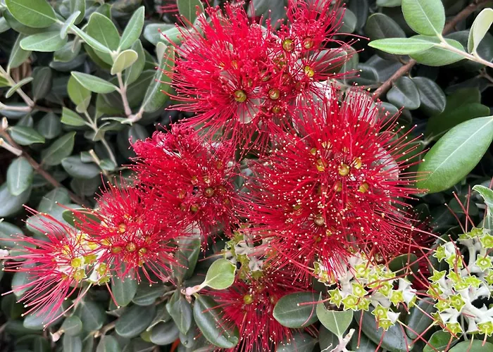 Hortas - Modern At Silvercoast - Portugal Willa *